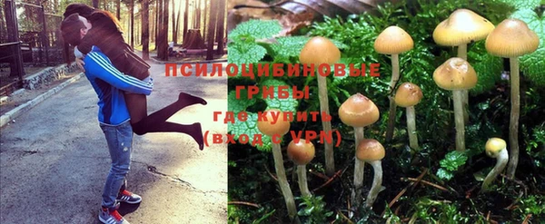 марки lsd Видное