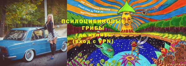 молекула духа Ветлуга