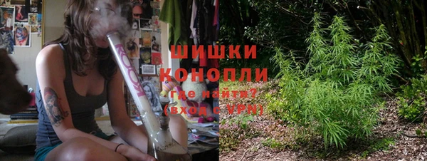 индика Магадан