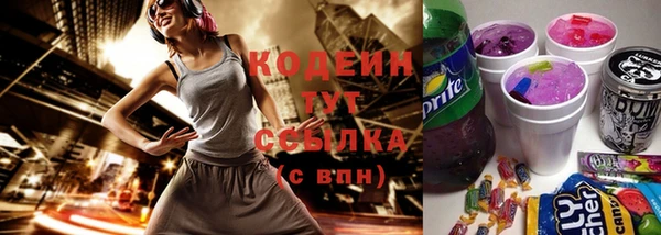 индика Магадан