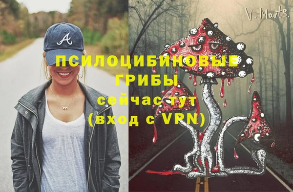 индика Магадан