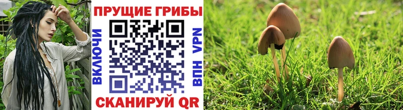 Псилоцибиновые грибы мухоморы  наркотики  Котовск 