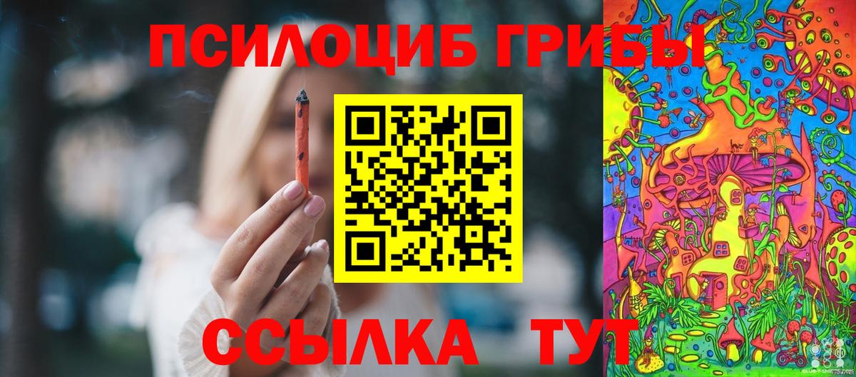 Псилоцибиновые грибы Cubensis  Котовск  наркота  Псилоцибиновые грибы MAGIC MUSHROOMS 