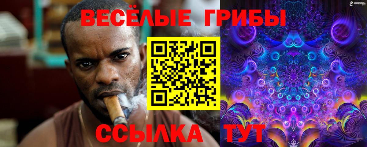 Псилоцибиновые грибы прущие грибы Котовск
