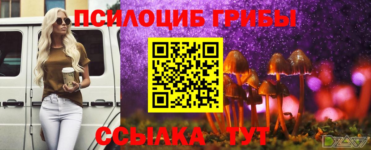 хочу   Вход с VPN  Котовск  Галлюциногенные грибы ЛСД  Галлюциногенные грибы Psilocybe 
