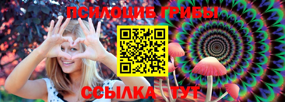 Псилоцибиновые грибы GOLDEN TEACHER Котовск